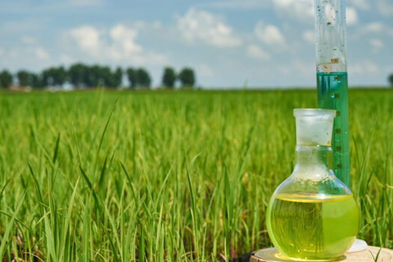 Agricultural Chemistry Laboratory Assistance Agricultural chemistry laboratory help: A glass bottle of oil and a measuring device in a rice field, assisting with agricultural research