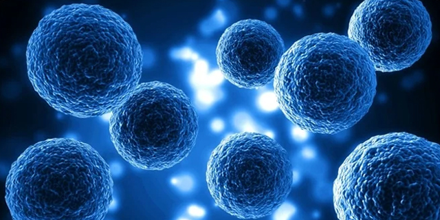 Microscopic View of Blue Spherical Cells offering a captivating glimpse into cellular biology assignment help A digitally-generated image of multiple blue spherical cells set against a dark background with bright, glowing highlights, giving a microscopic view. The cells have detailed textures, emphasizing their biological appearance and offering a captivating glimpse into Cellular Biology Homework Help