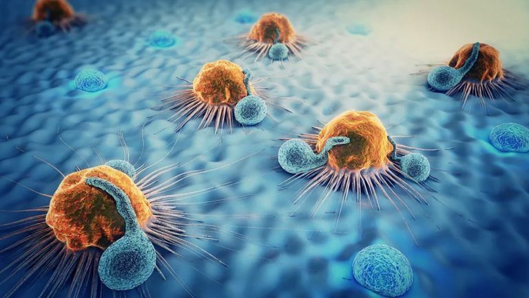 Cell Diversity in Immunology: Exploring Shapes and Sizes for assignment help Diverse cell shapes and sizes, illustrating an immunology assignment help