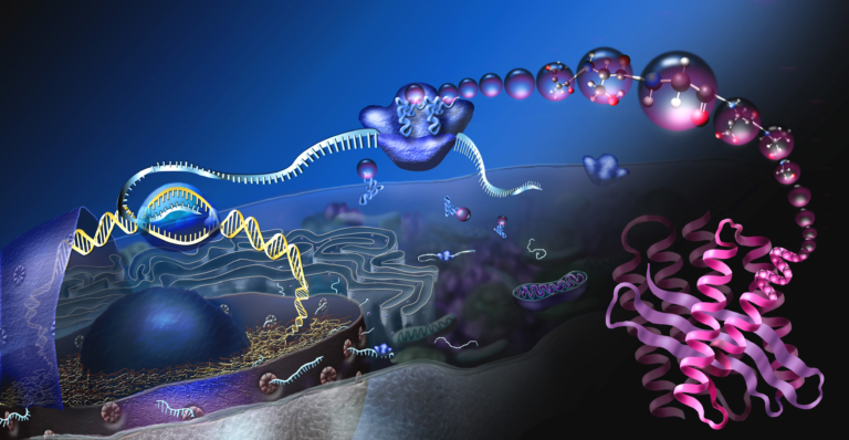Membrane Proteins: Showcasing the critical role of membrane proteins in molecular biology for homework help Visualization of a cell with a cell membrane, emphasizing the role of membrane proteins in molecular biology processes indicates Molecular Biology Assignment Help